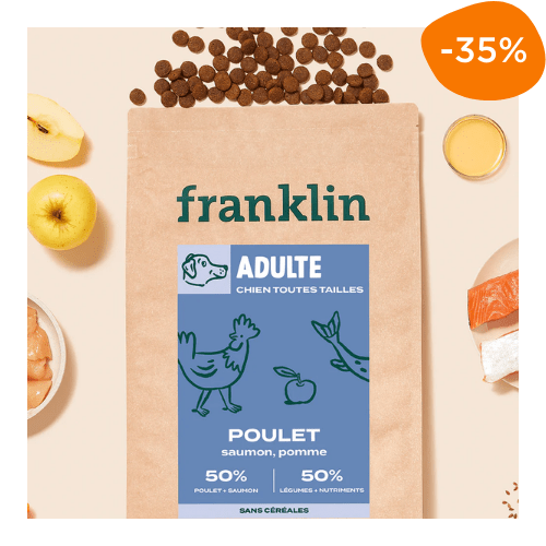 sac croquettes chien adulte Franklin