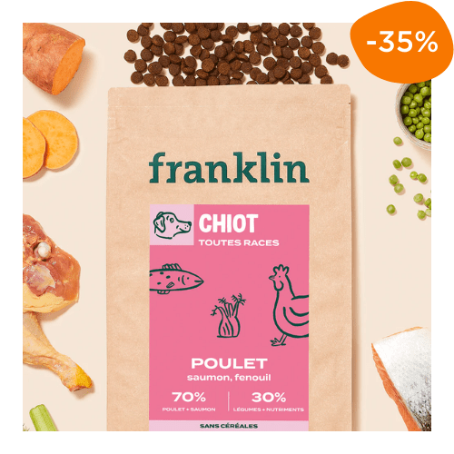croquettes Franklin pour chiot en promotion -35 %