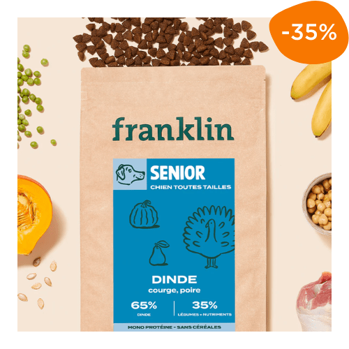 croquettes chien senior plus de 7 ans Franklin