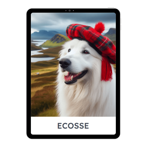 chien voyage en Ecosse - roadbook Polly Travels
