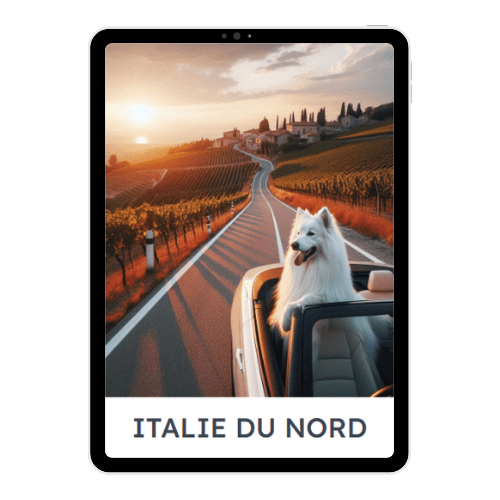 voyage en Ecosse avec chien : e-book de Pokki Travels