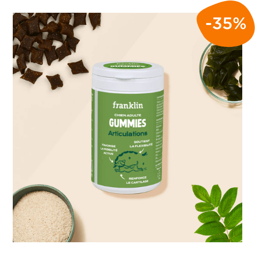 compléments alimentaires chien gummies articulation arthrose Franklin