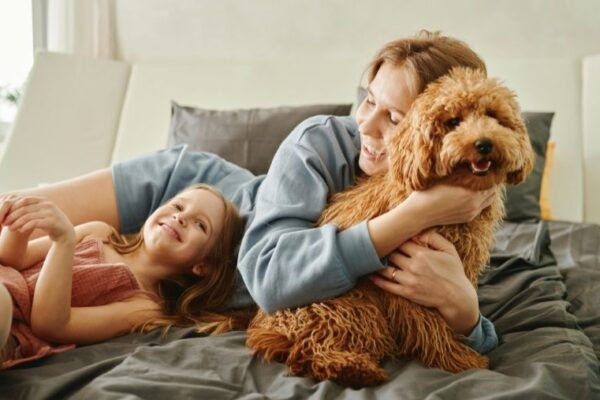 Pourquoi on nous demande un supplément chien pour les vacances ?