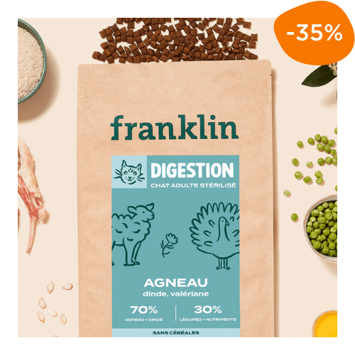 sac croquettes chat sensible Franklin code promo -35%