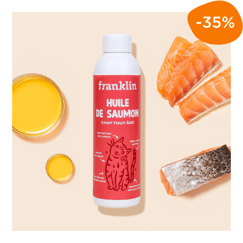 complément alimentaire chat huile de saumon Franklin