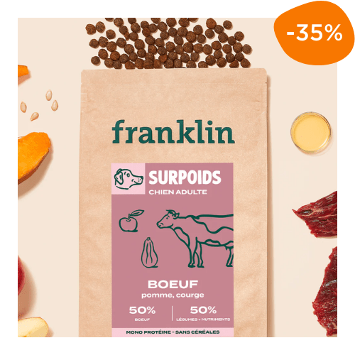croquettes chien obèse Franklin