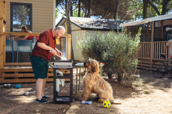 Des campings pensés pour votre chien et toute la famille