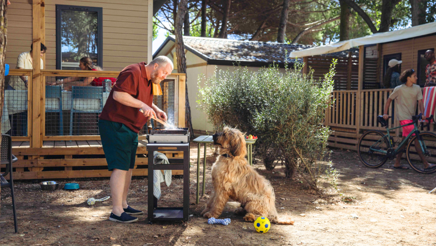Des campings pensés pour votre chien et toute la famille