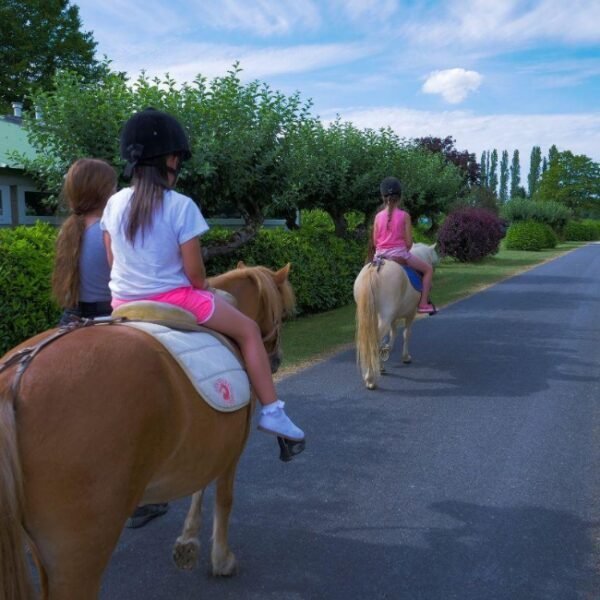 Balade au chevaux au Camping Caravaning des 4 Vents à Crèvecœur-en-Brie en Seine-et-Marne en Île-de-France