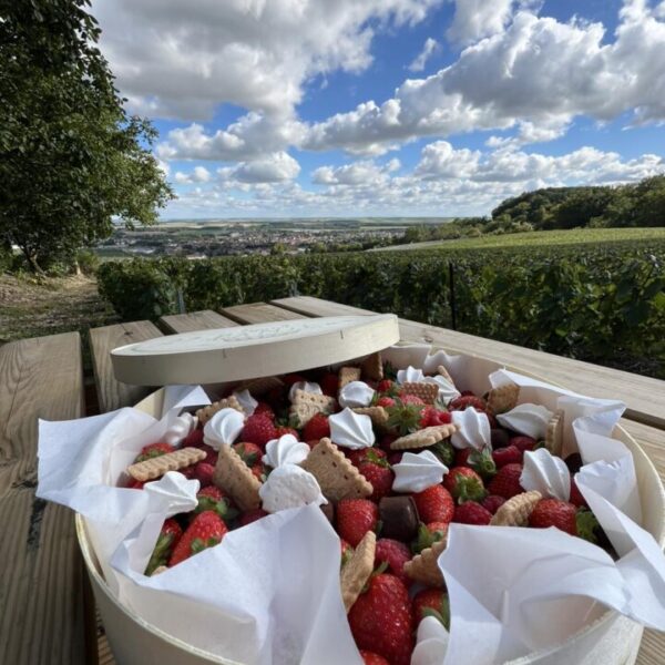 Dégustation gourmande dans les vignes de l'Hôtel BW Le Relais du Vigneron en Champagne à Vertus dans la Marne
