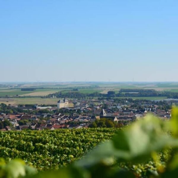 Vue depuis l'Hôtel BW Le Relais du Vigneron en Champagne à Vertus dans la Marne