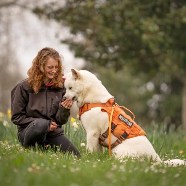 Propriétaire du Dog Day Club à Floirac en Gironde en Nouvelle-Aquitaine