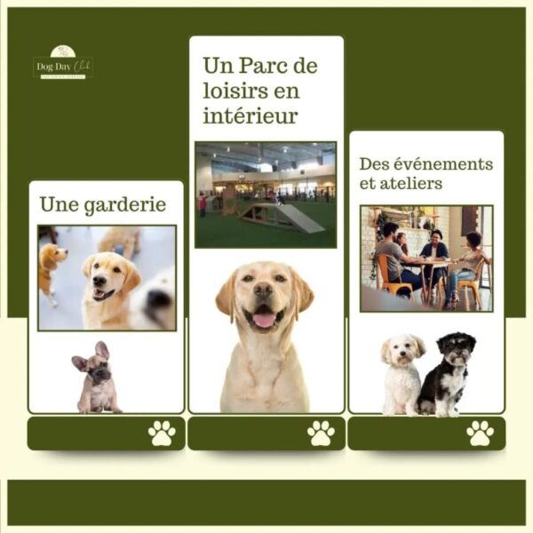 Dog Day Club 33, Centre de loisirs pour chiens, Pension, Garderie et Education canine à coté de Bordeaux en Gironde