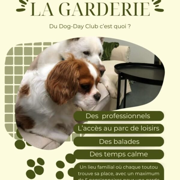 Présentation de la Garderie canine du Dog Day Club 33, Centre de loisirs pour chiens, Pension, Garderie et Education canine à coté de Bordeaux en Gironde