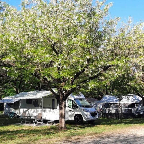 Emplacements au Camping Le Pontet à Saint-Martin-d'Ardèche en Ardèche en Auvergne-Rhône-Alpes
