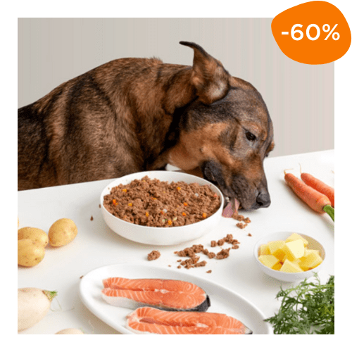 recette saumon Dogfy Diet à -60% grâce à notre code promo