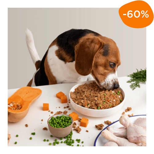 box Dogfy Diet -60% avec code promo EMMENE10 sur recette au poulet