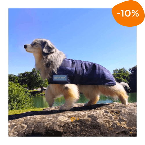 Manteau fraîcheur chien Canigourmand promotion