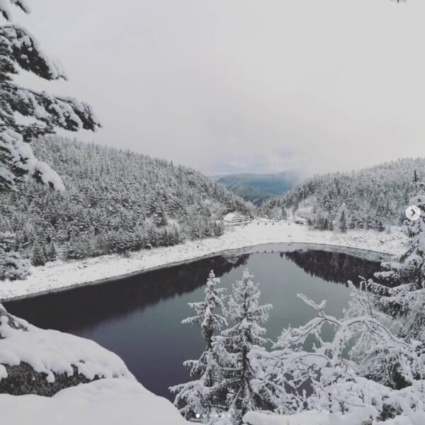 Lac blanc et lac noir près du Restaurant Au Bois Le Sire en Alsace à Orbey proche de Colmar