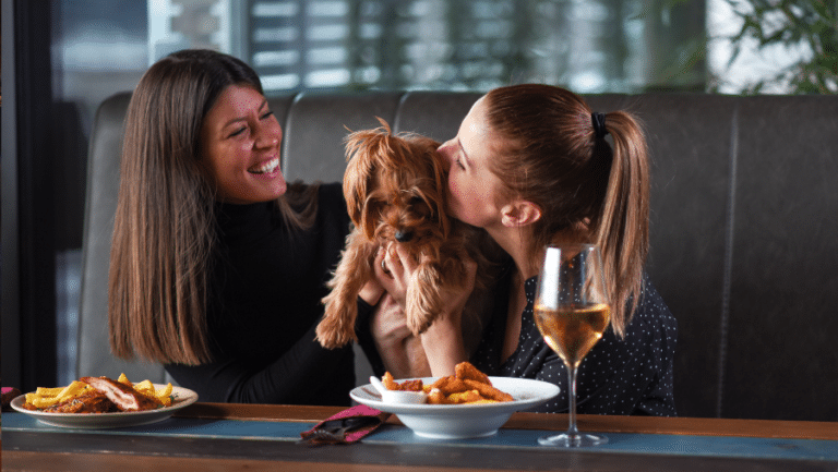 Un chien au restaurant avec ses maîtres à Aigues-Mortes dans le Gard en Occitanie.