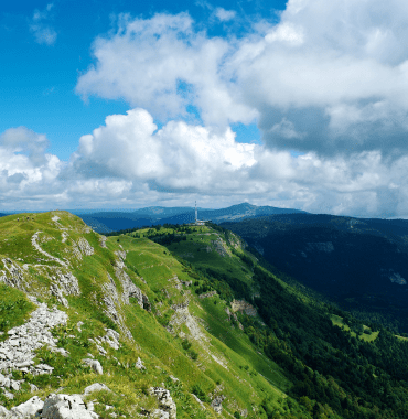 guide jura avec un chien