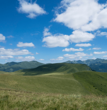 massif du sancy avec un chien