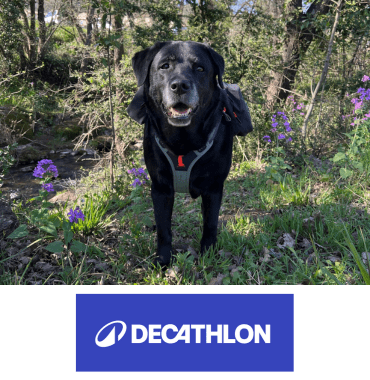 decathlon sac de randonnée pour chien