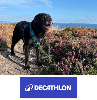 decathlon harnais outdoor 500