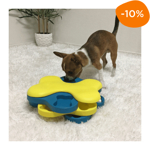 jeux stimulation intellectuelle chien en promotion Canigourmand