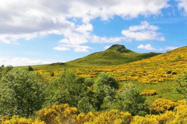 Guide Pavin Sancy