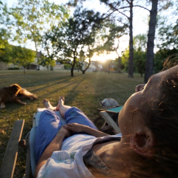 Détente avec son chien au calme au Gîte Ô & Terre près de Fontainebleau avec Spa et jardin clos en Seine et Marne à 1h30 de Paris