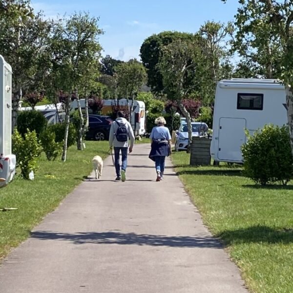Chiens acceptés au Camping de la Baie à La Trinité-sur-Mer à Morbihan en Bretagne