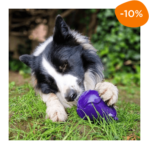 jouet à fourrer chien code promo Canigourmand