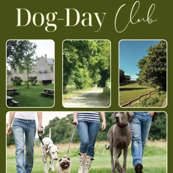 Promenade collective organisée par le Dog Day Club 33, Centre de loisirs pour chiens, Pension, Garderie et Education canine à coté de Bordeaux en Gironde