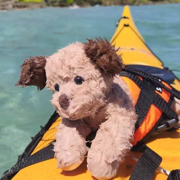 Kayak Emeraude Aventure Saint Lunaire