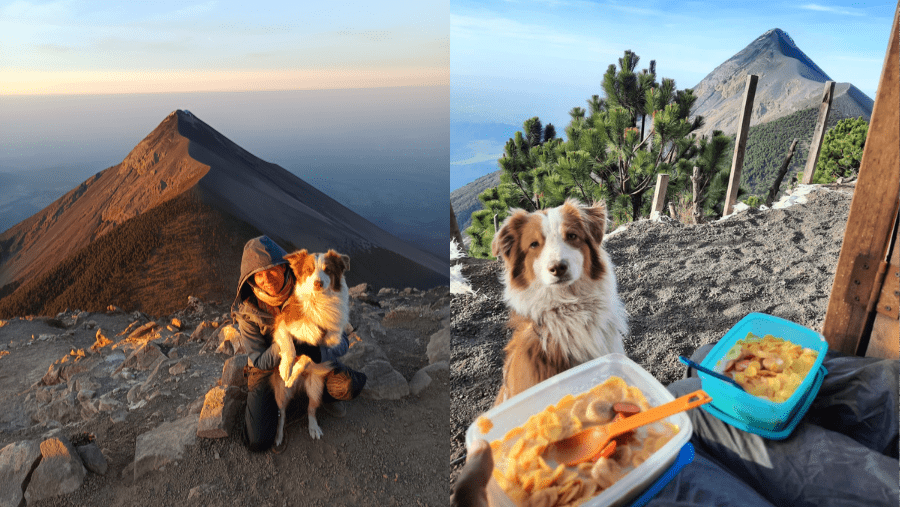 Un chien avec sa maîtresse sur un volcan au Guatemala.