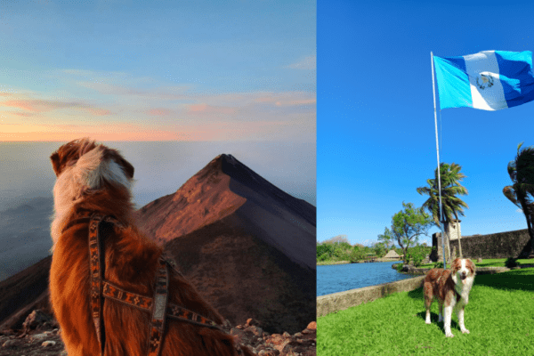 Le Guatemala avec un chien