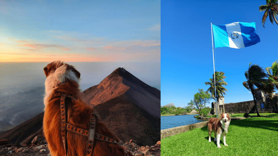 Le Guatemala avec un chien