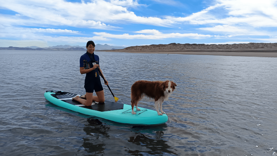 Un chien sur un paddle avec sa maĂźtresse au Mexique.