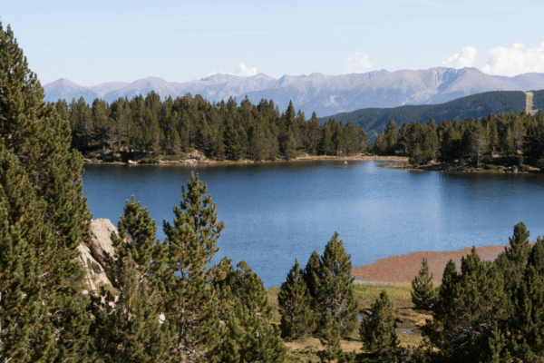 5 spots instagrammables dans le sud de la France pour faire des photos avec son chien