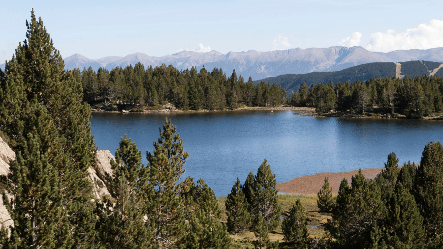 5 spots instagrammables dans le sud de la France pour faire des photos avec son chien