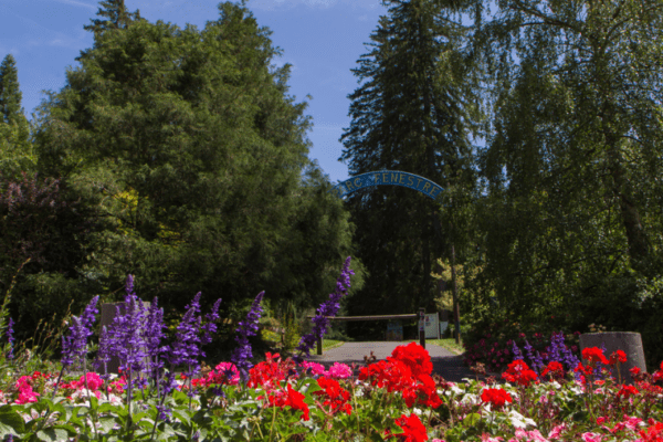 Parc Fenestre