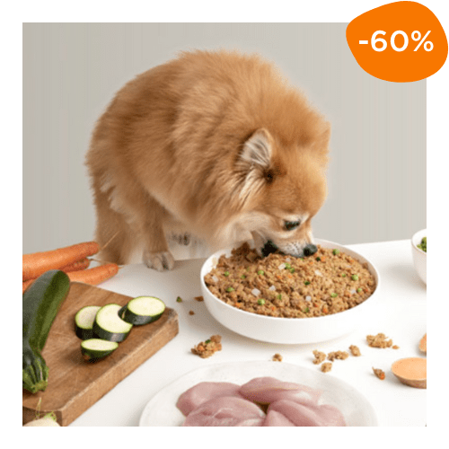 réduction -60% Dogfy Diet alimentation naturelle à la dinde