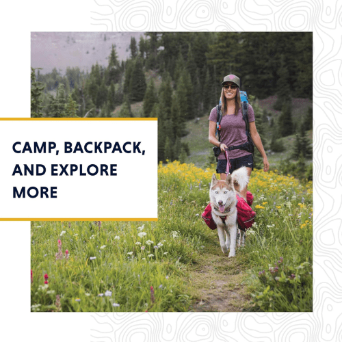 sport avec son chien avec un sac de bât