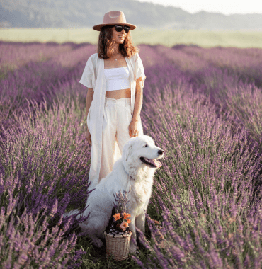 femme avec son chien dans les champs de lavande du Luberon