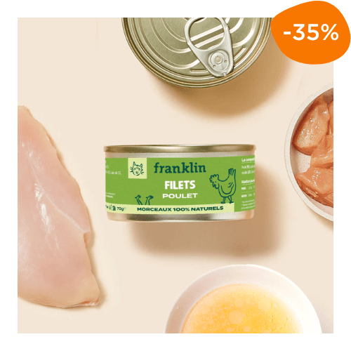 Filet poulet chat Franklin