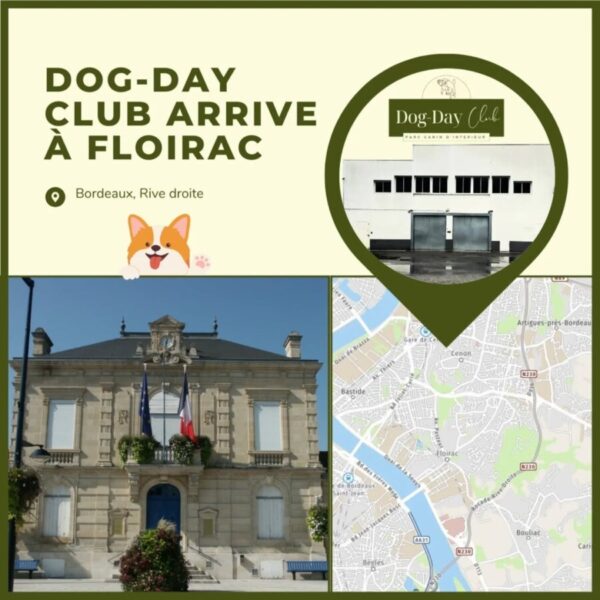 Dog Day Club 33