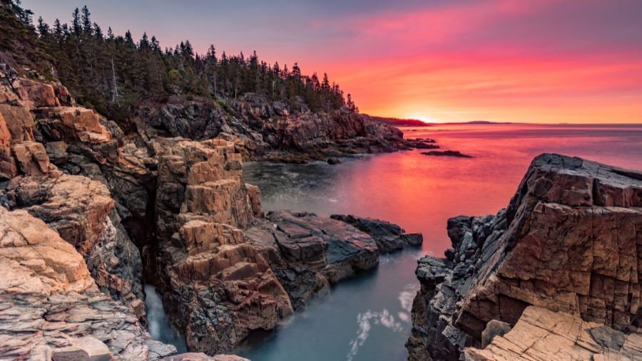 Parc National d’Acadia dans le Maine, où les chiens sont autorisés