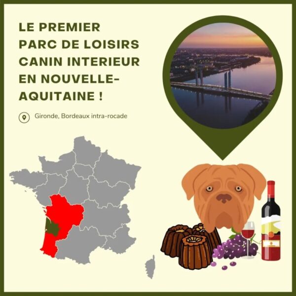 Info du Dog Day Club à Floirac en Gironde en Nouvelle-Aquitaine