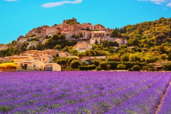 Vacances au camping dans le Luberon avec son chien